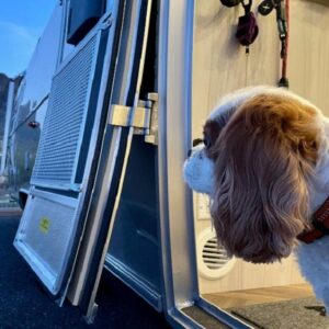 A Pet-Friendly RV Camping Guide