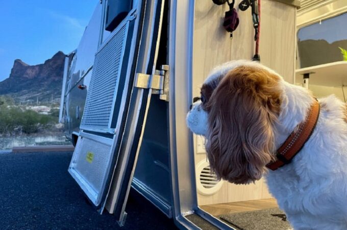 A Pet-Friendly RV Camping Guide