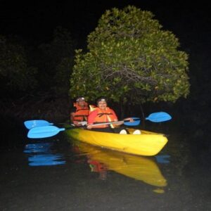 Night Kayaking