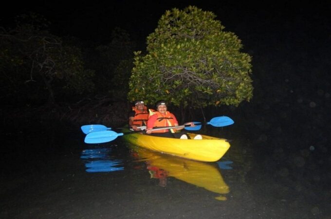 Night Kayaking