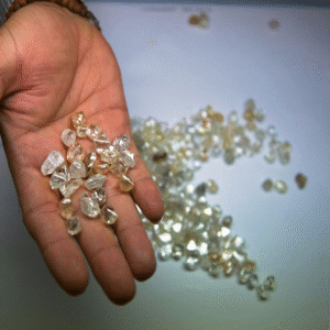 Surat Diamonds
